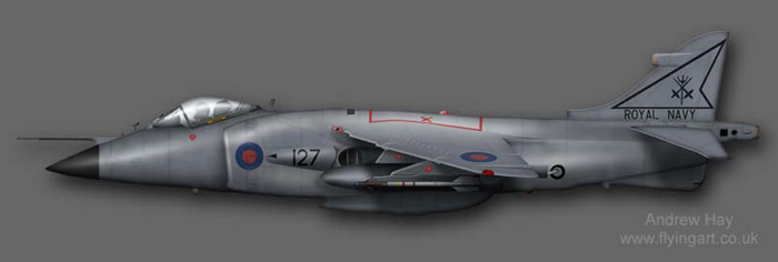 Sea Harrier FRS.1 XZ455 800 NAS